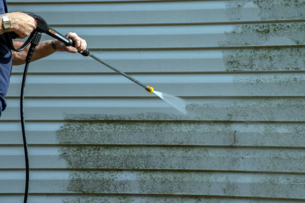 Best Solar Panel Cleaning  in Gainesville, VA